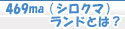 469ma（シロクマ）ランドとは？